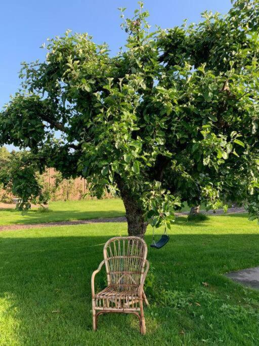Rusttheater, Genieten Van Rust En Ruimte Villa Reutum Екстериор снимка